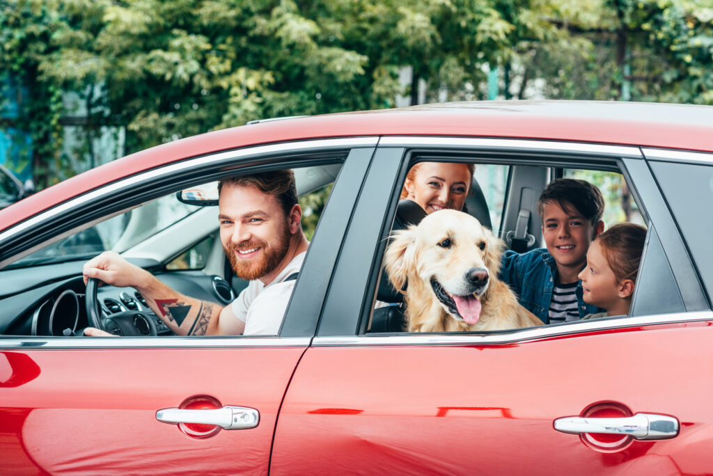 Consejos indispensables para un viaje en coche