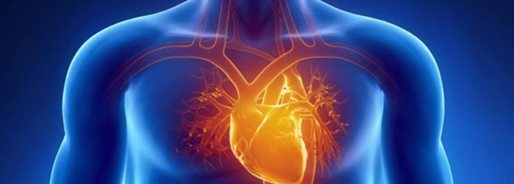 animación de cuerpo con corazon